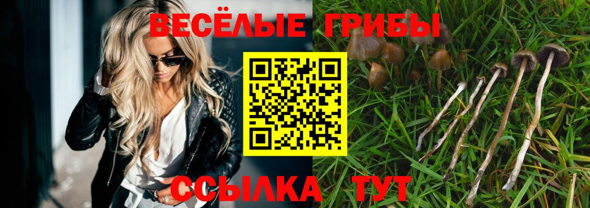 COCAIN  Вход с VPN  Каннабис  NBOMe  Великие Луки  Мефедрон кристаллы  Амфетамин кристаллы  ГАШИШ 